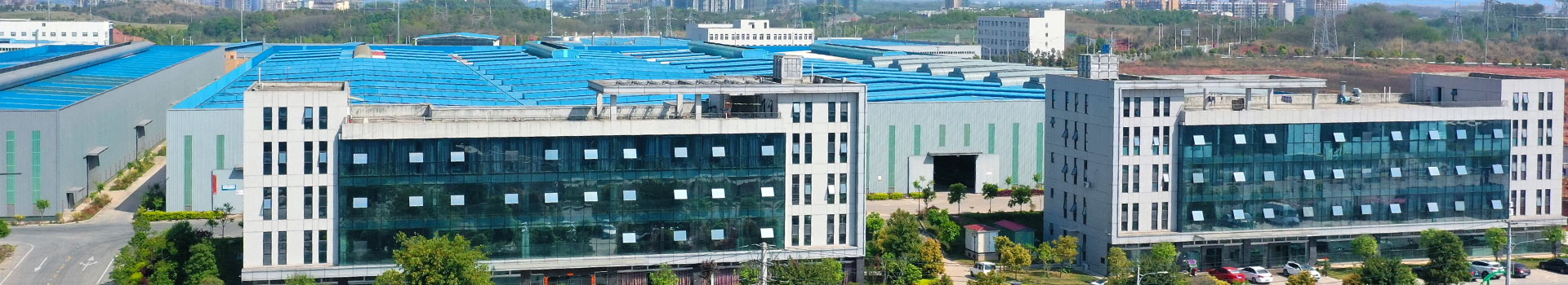 Qualifications & Honors