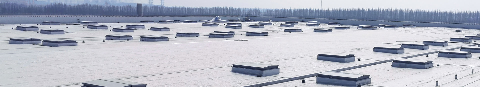 Warehousing Automobiles