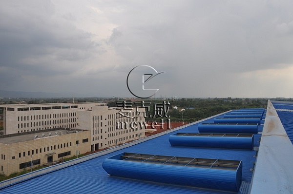 continuous rooflights